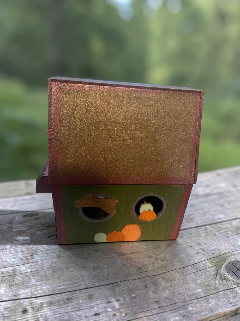 Pumpkin Patch LED Decorative Fall House - your choice